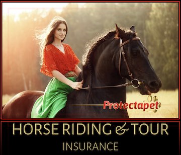 Woman in a red blouse riding a black horse through a field with the sun in her hair advertising horse riding holiday insurance by Protectapet 